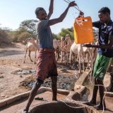 Suše 'sporohodna svetska katastrofa', objavio UN 3