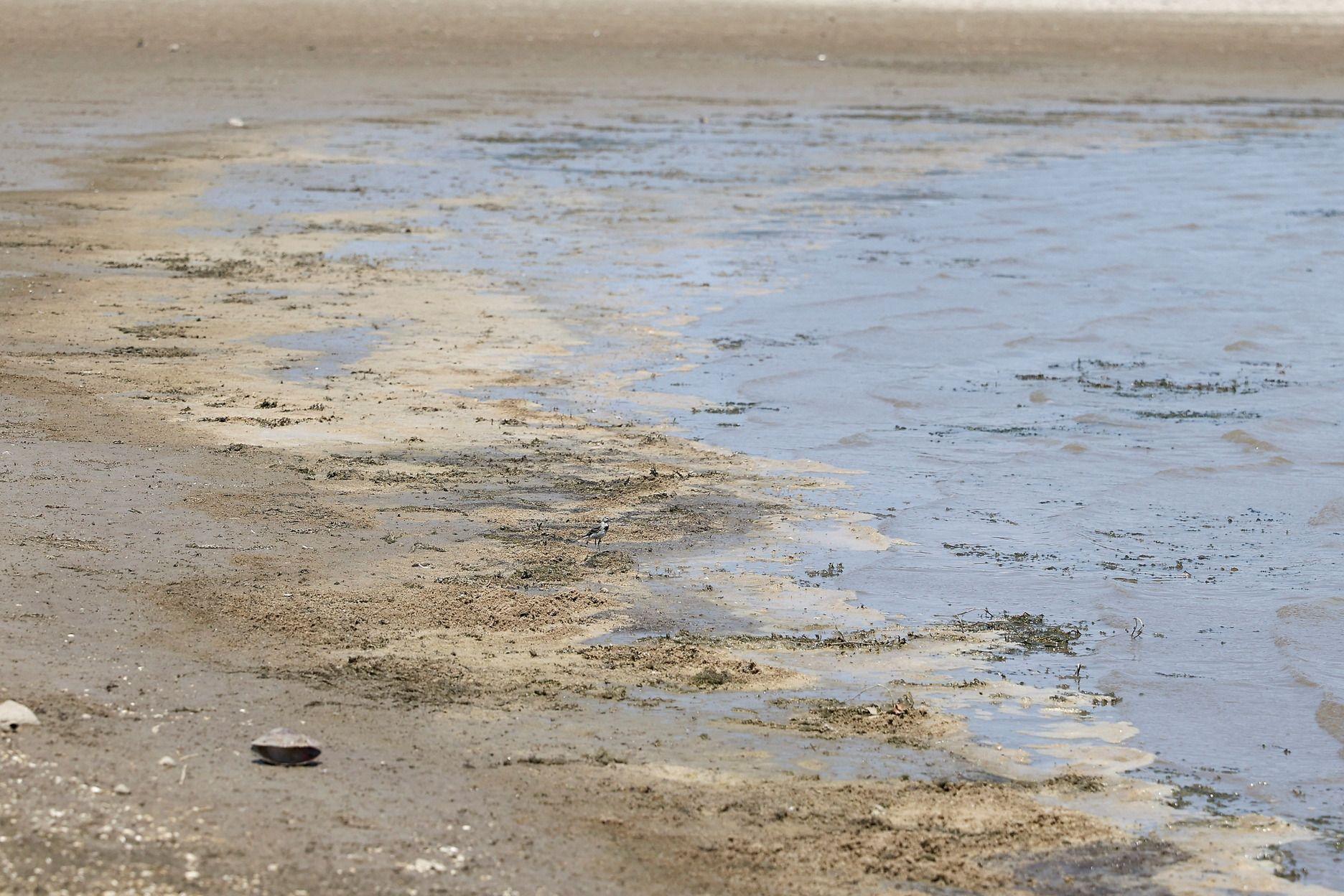 Kad vrućina uzme danak: Presušilo 'Šumadijsko more' 6 jezero gruža, presušilo jezero gruža