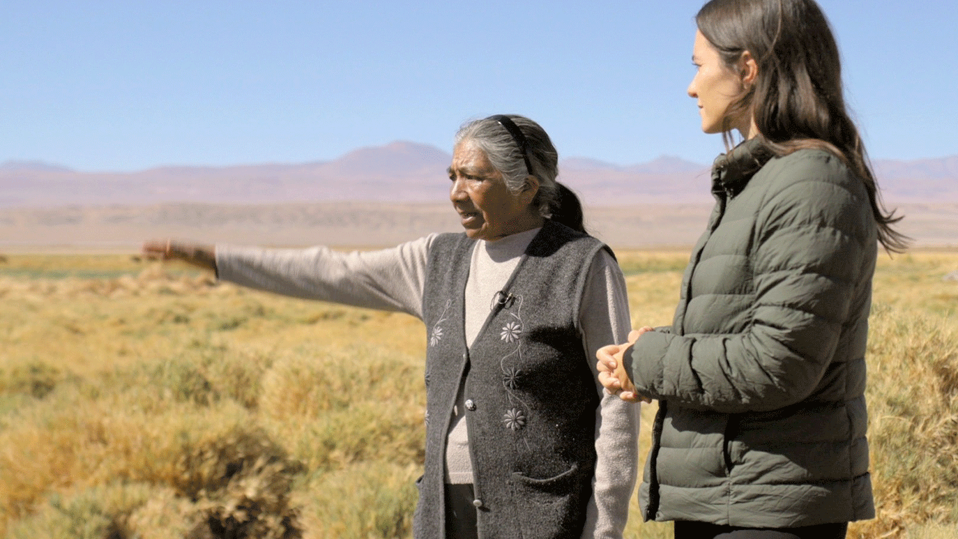 Iskopavanje litijuma u Čileu: 'Krade se naša voda, nestaju naše svete ptice' 1 čile, pustinja, pastirica