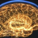 Meningitis: Od infekcije do smrtonosne bolesti 5