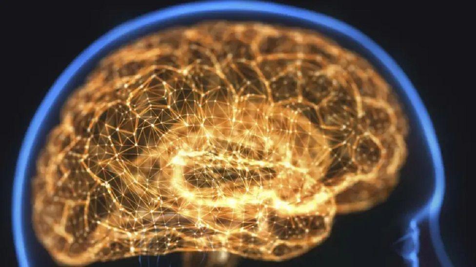 Meningitis: Od infekcije do smrtonosne bolesti 1 mozak