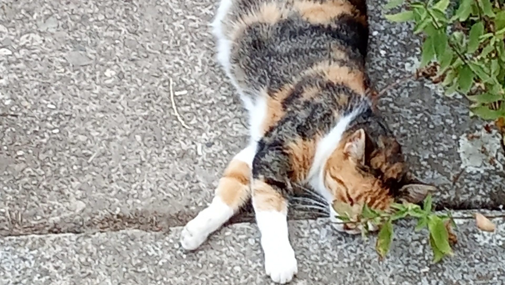 Priča od grešaka i gluposti 2 Priča od grešaka i gluposti 2