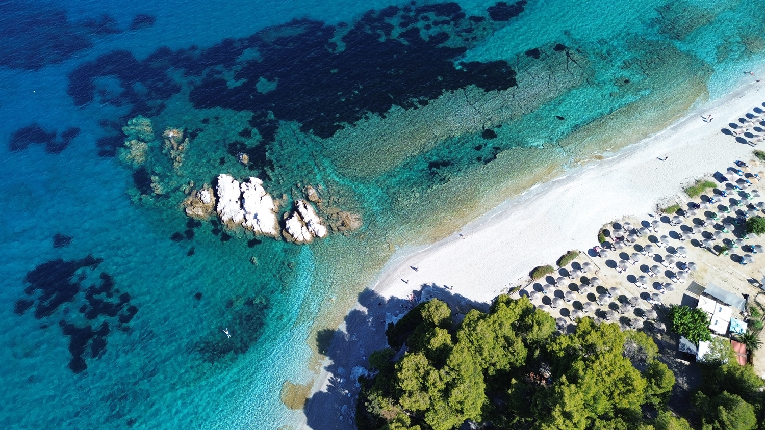 Pod borovima i suncem: Otkrijte tajnu smaragdnog Skopelosa 6