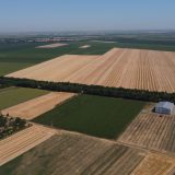 Ministarstvo poljoprivrede: Ne palite strnjiku! 2