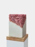 Konstruisanje leta u Galeriji Novembar: Unutrašnje dileme i izazovi savremenog čoveka 3