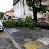 Osam osoba povređeno tokom oluje u Beogradu