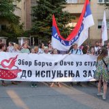 Zašto su zaposleni u niškom Domu zdravlja odložili skup podrške pretučenom i pritvorenom anesteziologu Vladi Stefanoviću? 5