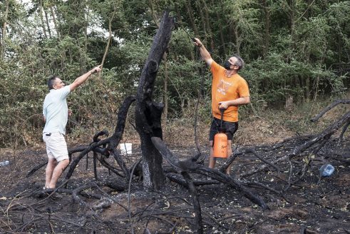 Najteži dan koji pamte vatrogasci: U požarima na području Šumadije tri osobe povređene, izgorelo 15 kuća (FOTO) 6