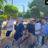 Otkud magarci ispred Skupštine Kosova? (VIDEO) 11