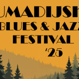 Otkazan Šumadijski džez i bluz festival 2
