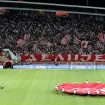 Navijači Crvene zvezde