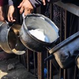 Gaza: Šta se dešava kada organizam gladuje 10
