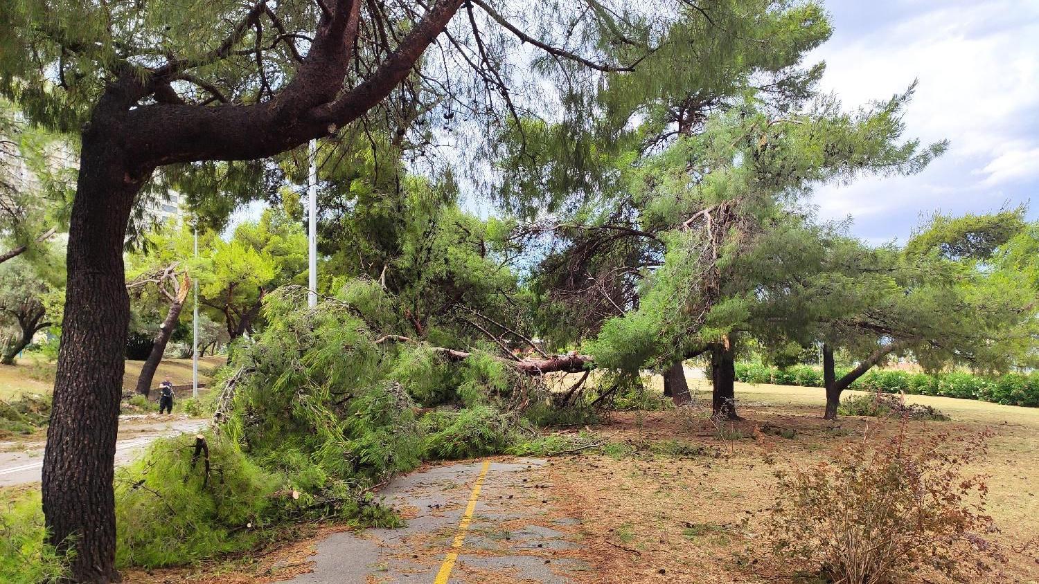 Oluja na Balkanu: Više povređenih u Beogradu i Splitu, nevreme širom Vojvodine 1 Nevreme u Beogradu