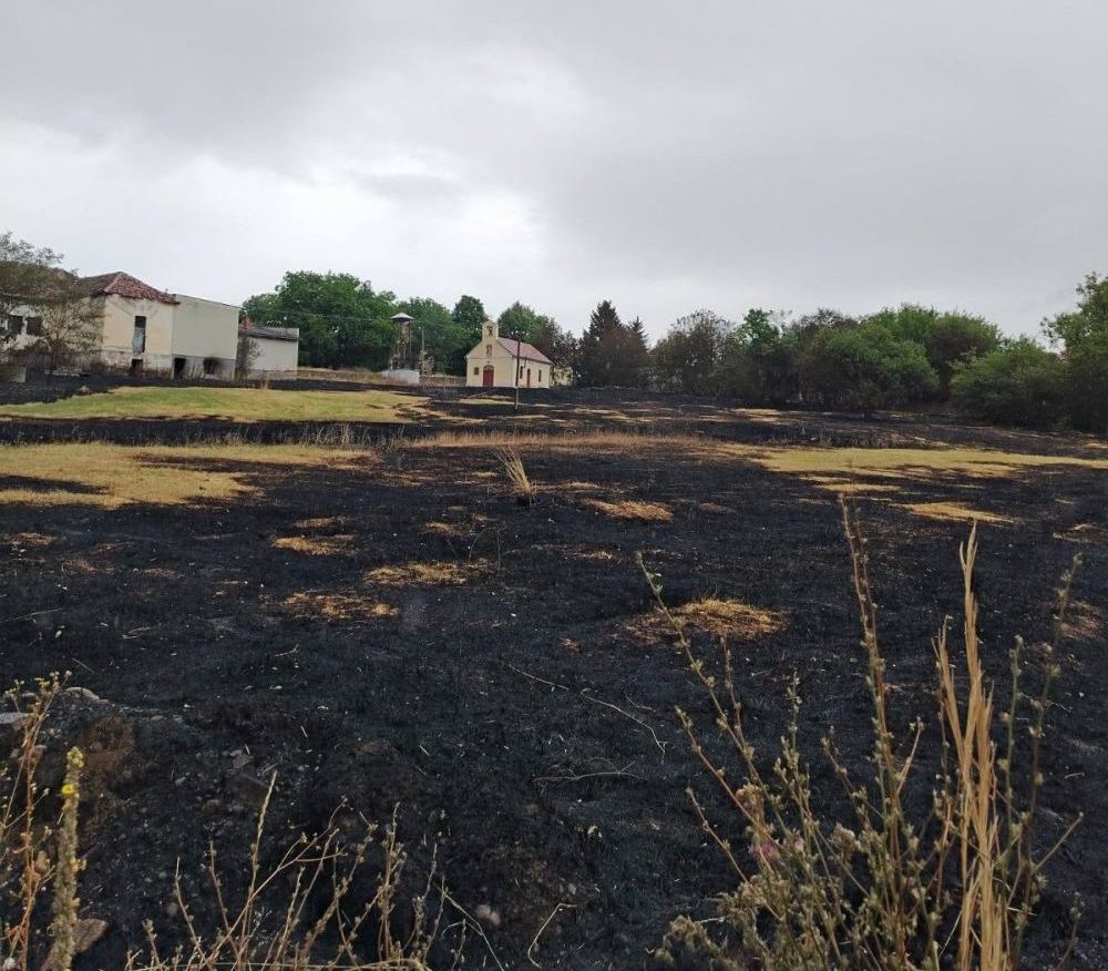 Požar u Dubovu "Sirotinjo, i vođi si teška": Šta su sve pokazali požari na jugu Srbije? 5
