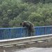Kosovo: Preuzet kamp na Gazivodama 1