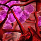 Stalno ste iscrpljeni i umorni, a kosa vam puca iako je redovno negujete: Prepoznajte simptome anemije 3