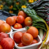 Ovo povrće je nutritivna bomba, a ima samo 35 kalorija 1