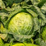 Kupus može da zadrži svežinu i do dve nedelje, ako ga na ovaj način skladištite 2