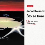 što se bore misli moje