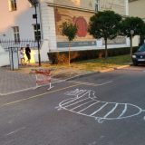 Građani nacrtali pravu zebru ispred Arhiva Vojvodine, ismevaju direktora 7