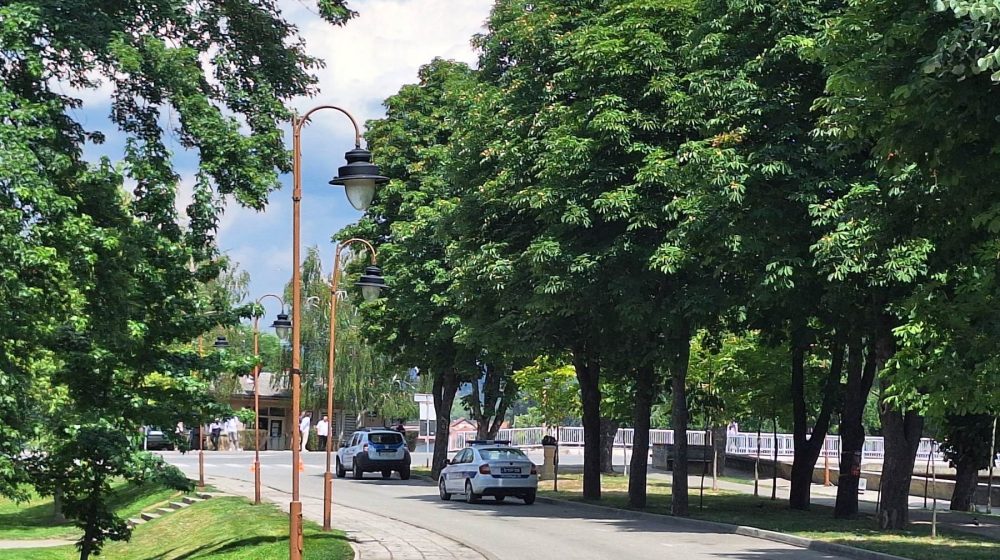 Knjaževac, sto dana vlade, autor Dalibor Stanojević