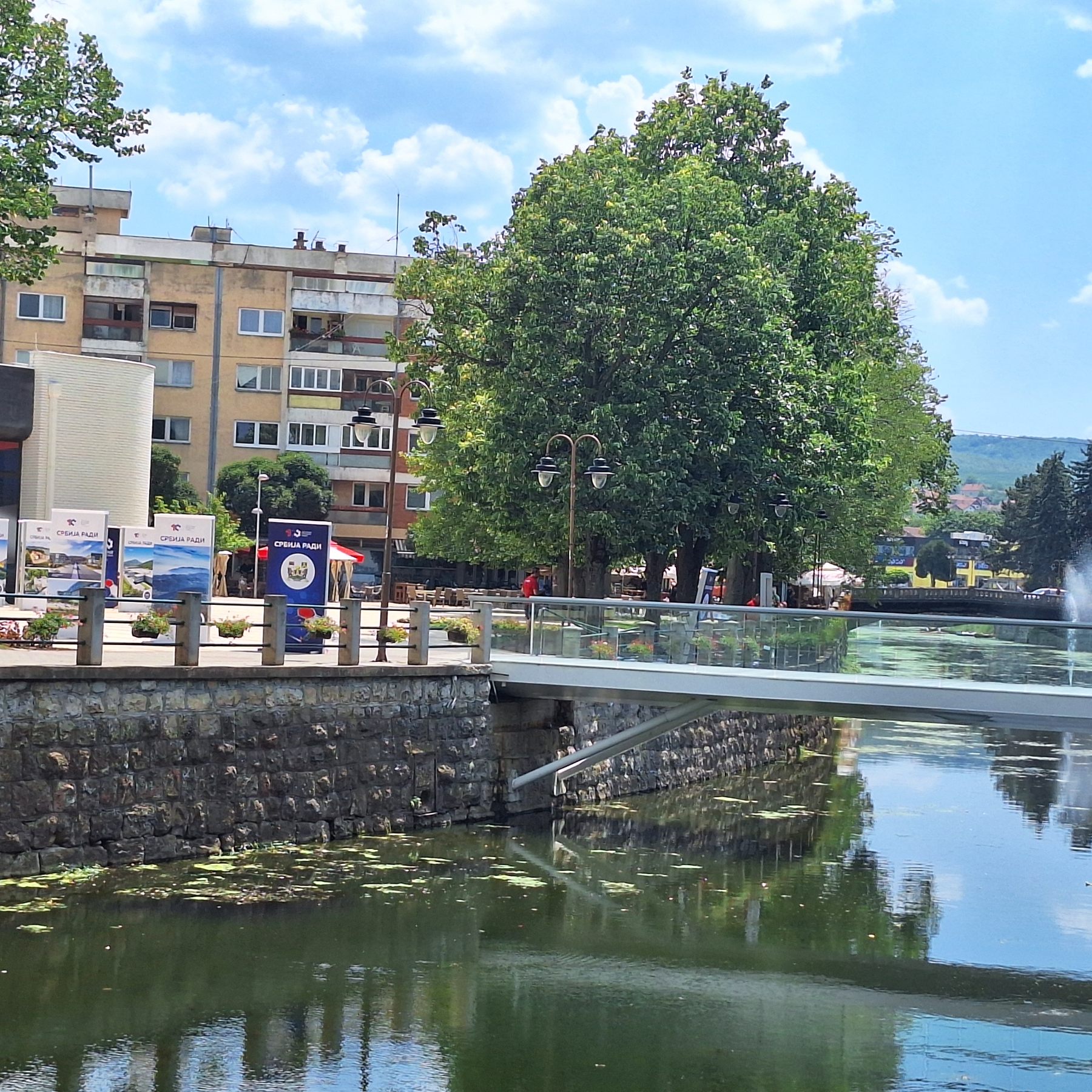 Knjaževac, 100 dana Vlade, autor Dalibor Stanojević