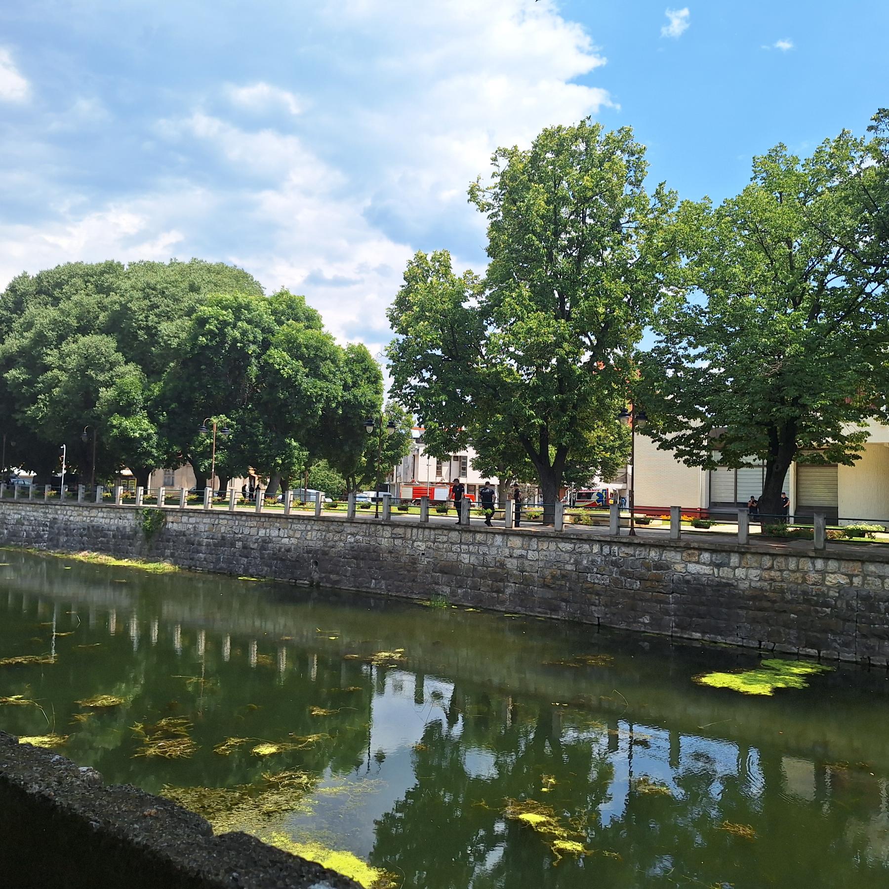 100 dana Vlade, Knjaževac, autor Dalibor Stanojević