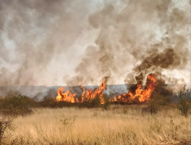 Ministarstvo poljoprivrede: Inspekcija otkriveno više desetina slučajeva spaljivanja strnjike 1