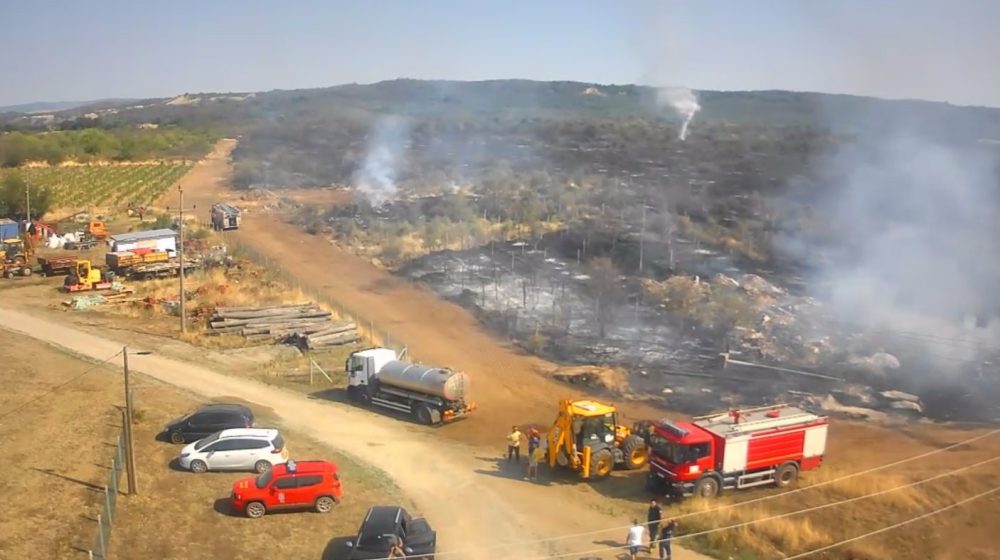 U požaru u Kostolu kod Kladova vatra zahvatila oko 100 hektara, Čaušić očekuje da uskoro bude stavljen pod kontrolu (FOTO) 1