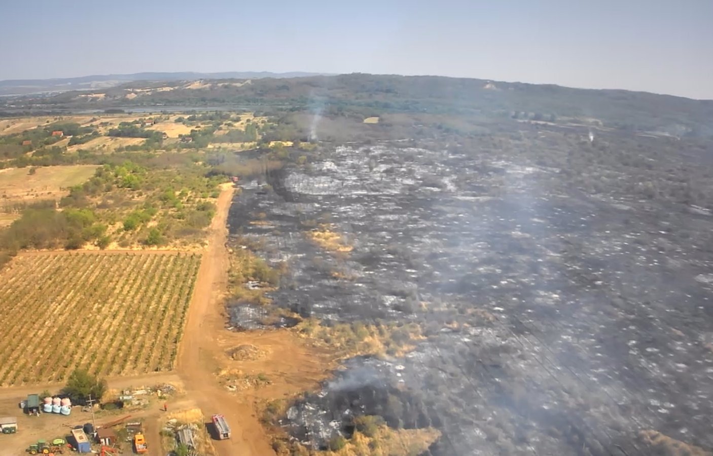 U požaru u Kostolu kod Kladova vatra zahvatila oko 100 hektara, Čaušić očekuje da uskoro bude stavljen pod kontrolu (FOTO) 4