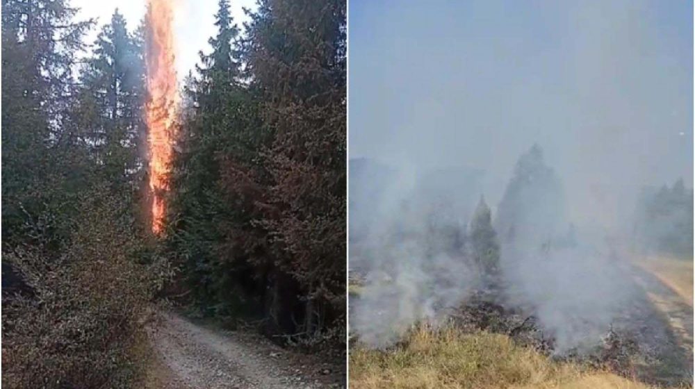Vlada Crne Gore otvorila namenski račun za sanaciju štete posle požara 1