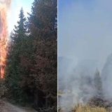 Vlada Crne Gore otvorila namenski račun za sanaciju štete posle požara 4