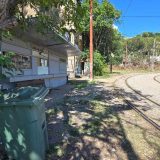 Bivša dekanka Biološkog fakulteta: Umesto da postane neka vrsta turističke atrakcije, kome smeta tramvaj "Dvojka"? 8