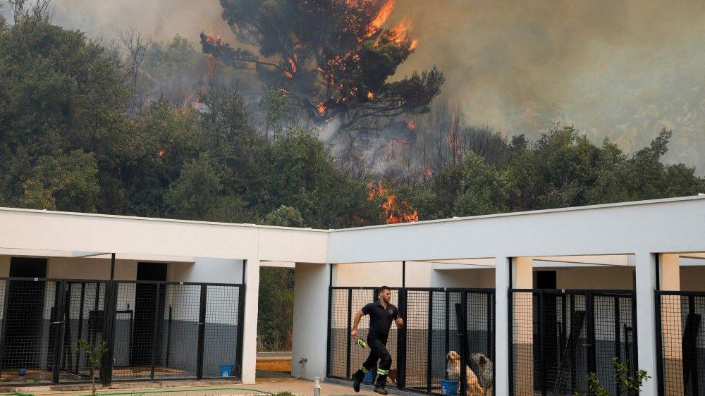 Požari u Crnoj Gori: 'Vatra je išla nenormalnom brzinom' 1 požar, požar u crnoj gori