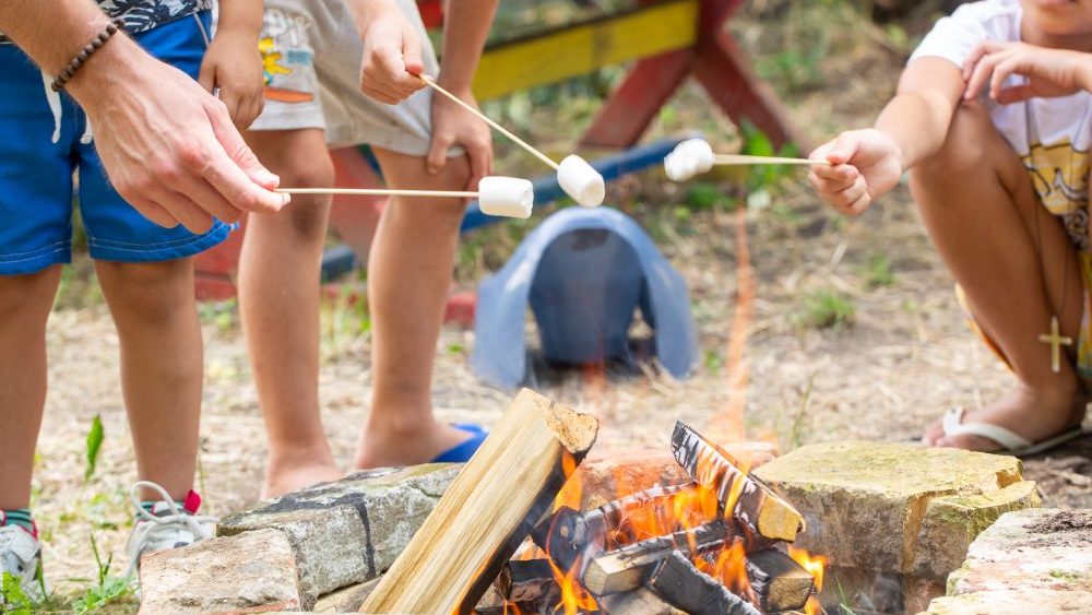 Kamp "Košnica prijateljstva" za mališane bez roditeljskog staranja po 19. put na Begečkoj jami 2 Kamp "Košnica prijateljstva" za mališane bez roditeljskog staranja po 19. put na Begečkoj jami 2