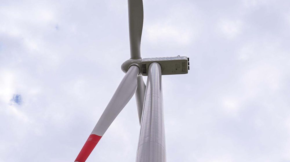 Živković: EPS profitabilan i u ovoj godini, građani i privreda mogu biti mirni 11