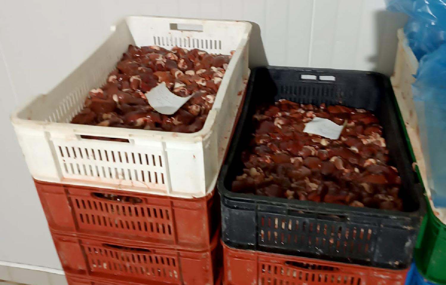 Kruševačka policija sprečila promet 40 tona piletine zaražene salmonelom (FOTO) 2 Kruševačka policija sprečila promet 40 tona piletine zaražene salmonelom (FOTO) 2