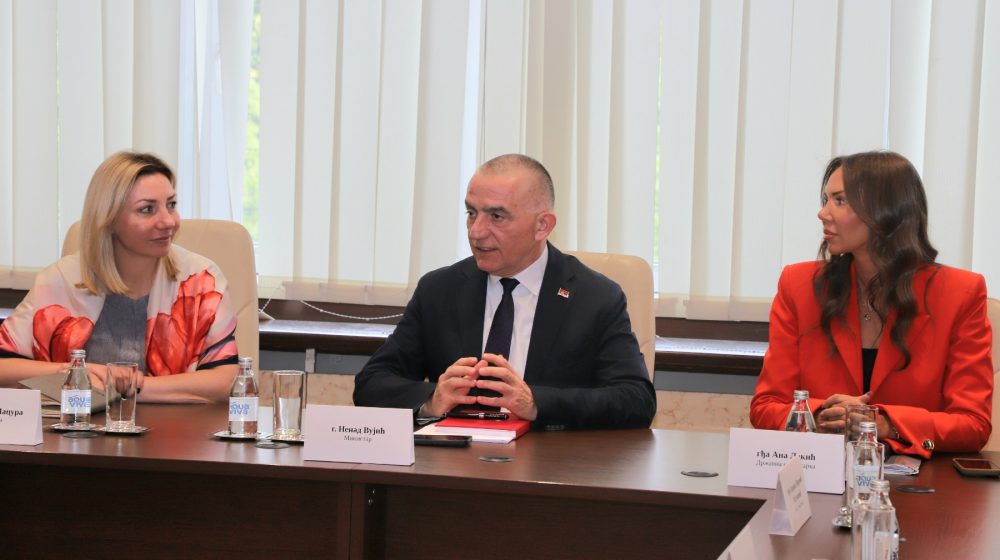 Šta je ministar Vujić rekao o izmenama i dopunama Zakona o sprečavanju nasilja u porodici? 1