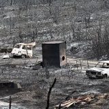 U požarima u Francuskoj izgorela površina veća od Pariza: 'Katastrofa' 6