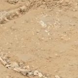 Indija: Pronađen redak fosil iz doba Jure 6