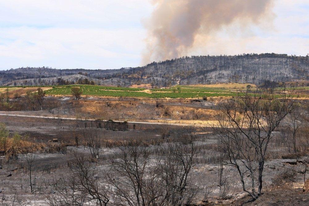 U požarima u Francuskoj izgorela površina veća od Pariza: 'Katastrofa' 2 požar u francuskoj