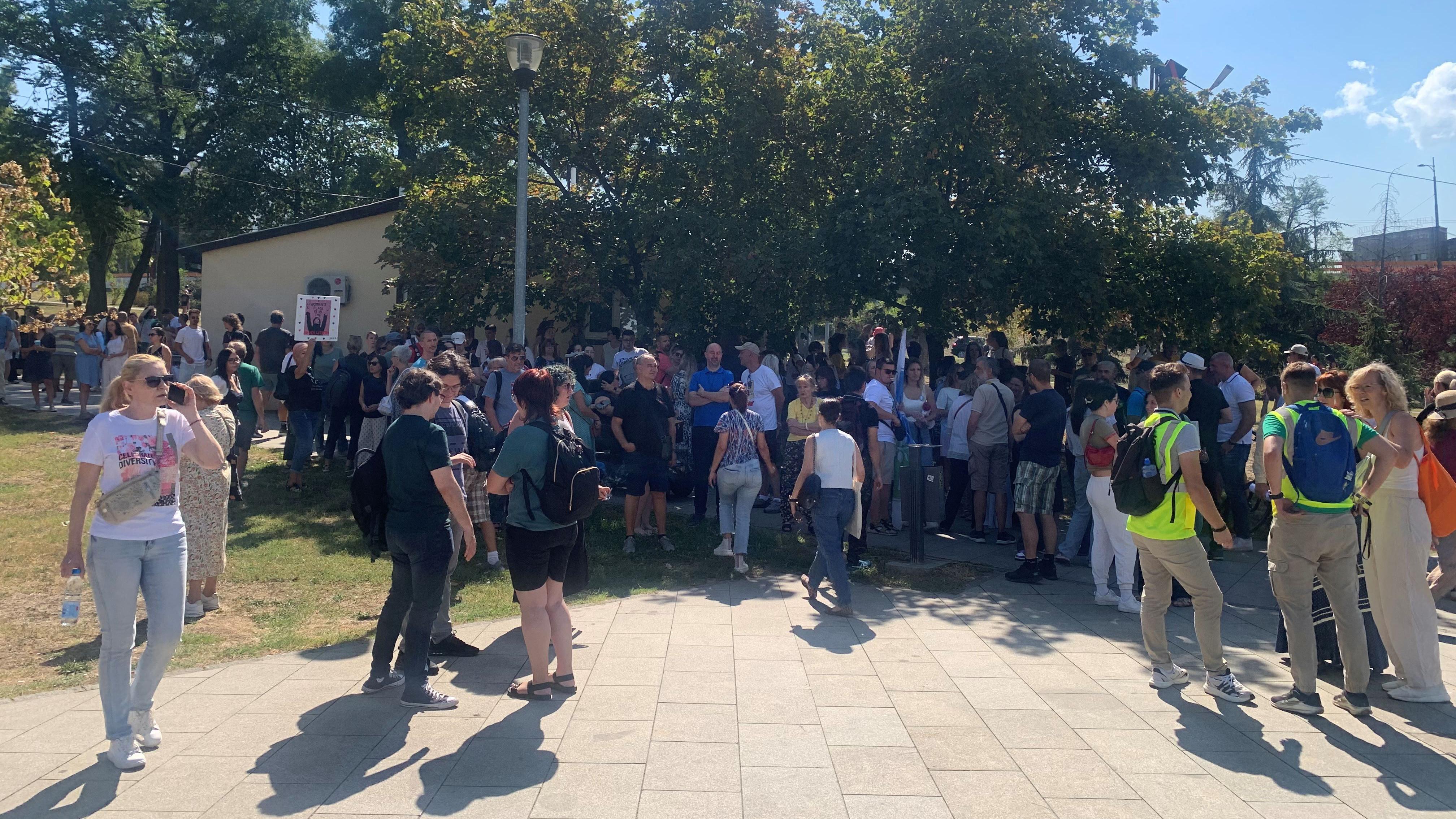 Novi neredi u Srbiji, podrška studentkinji Nikolini, održana sednica Saveta za nacionalnu bezbednost 6 Skup podrške Nikolini Sinđelić