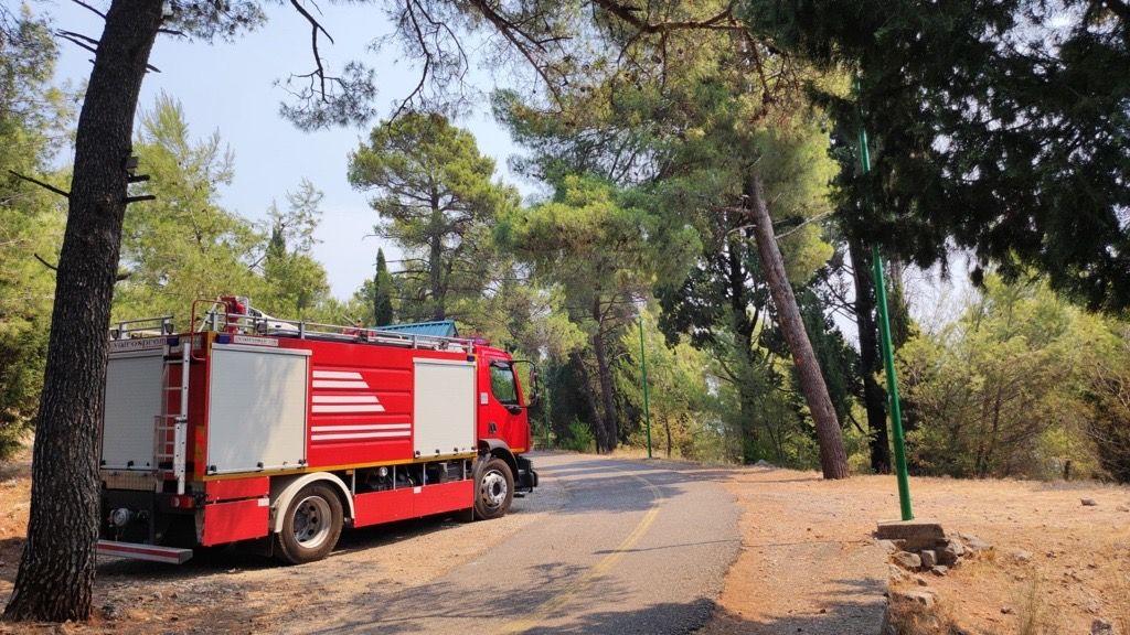 Crna Gora: Besane noći, privođenje osumnjičenih za podmetanje požara 5 Park suma Gorica