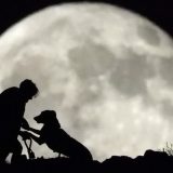 Avgustovski pun mesec: Svetlost koja najavljuje kraj leta 7