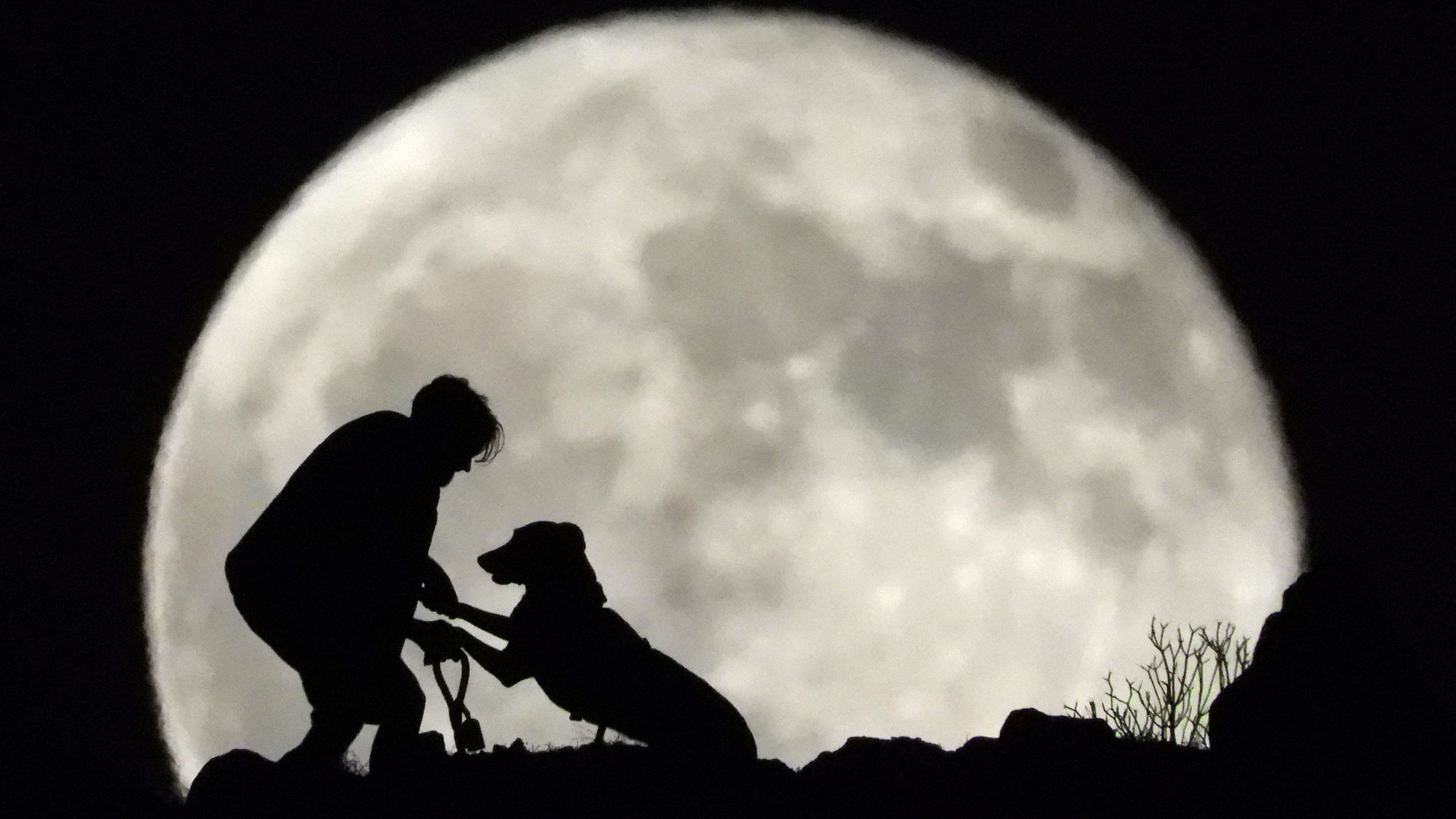 Avgustovski pun mesec: Svetlost koja najavljuje kraj leta 1 Jerai Garsija igra se sa psom Gretom tokom izlaska punog meseca na ostrvu Gran Kanarija.