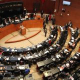 Tuča dvojice istaknutih političara u Senatu Meksika (VIDEO) 5