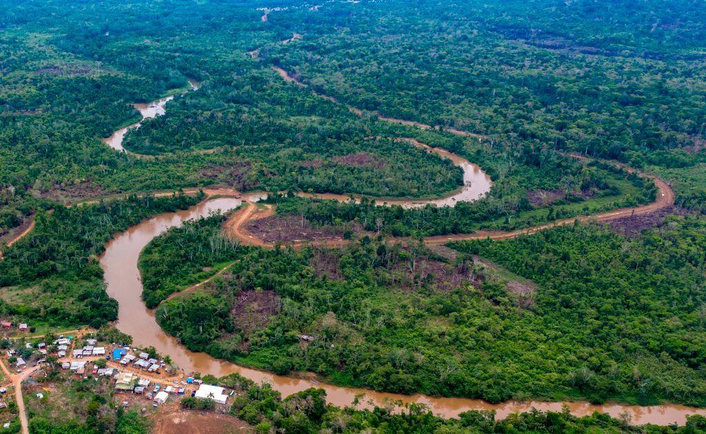 Lovac na biljke koji je rizikovao život u potrazi za orhidejom 4 Panorama Paname