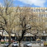 Portal Autonomija: Apelacioni sud u Novom Sadu ukinuo rešenje da se aktivistima STAV-a sudi u odsustvu 7