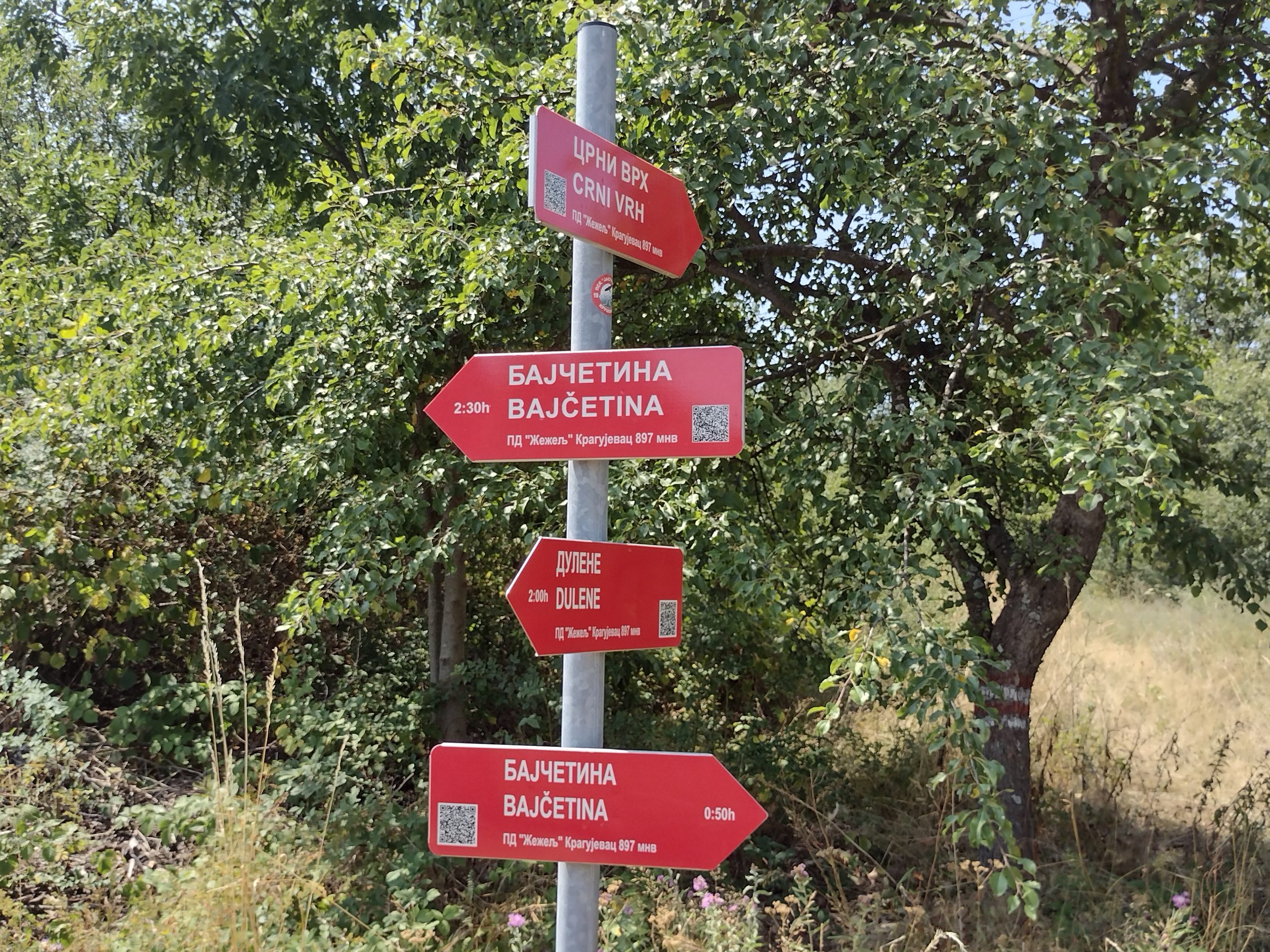 Bajčetino, nekad slavna, da li ćeš opet biti "glavna": Lagani letnji izletnički đir po "predsedničkom selu" (FOTO) 3