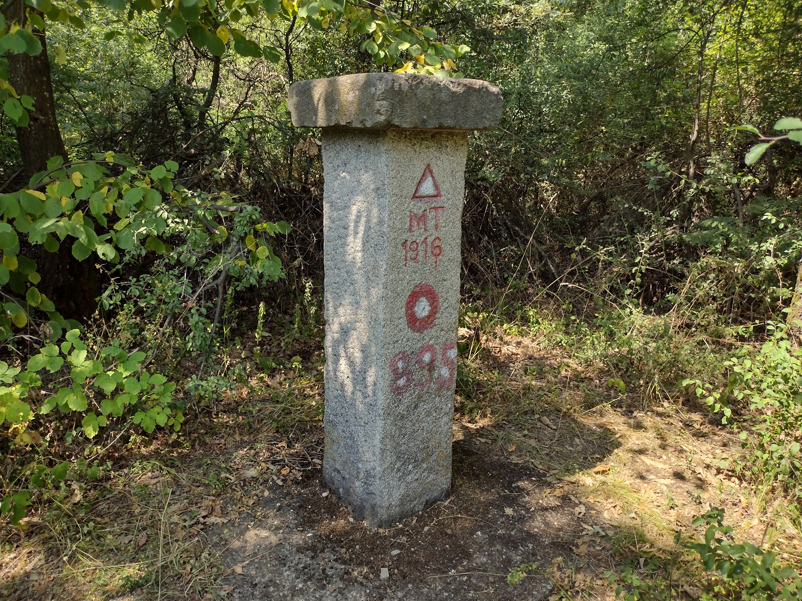 Bajčetino, nekad slavna, da li ćeš opet biti "glavna": Lagani letnji izletnički đir po "predsedničkom selu" (FOTO) 4